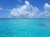 Saona Island Catamaran and Speed Boat